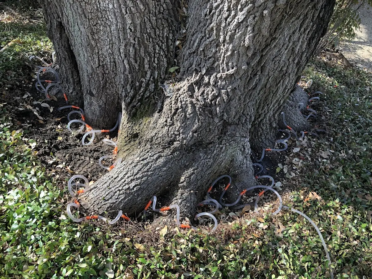 Detailed Shrub and Hedge Trimming job site in Winter