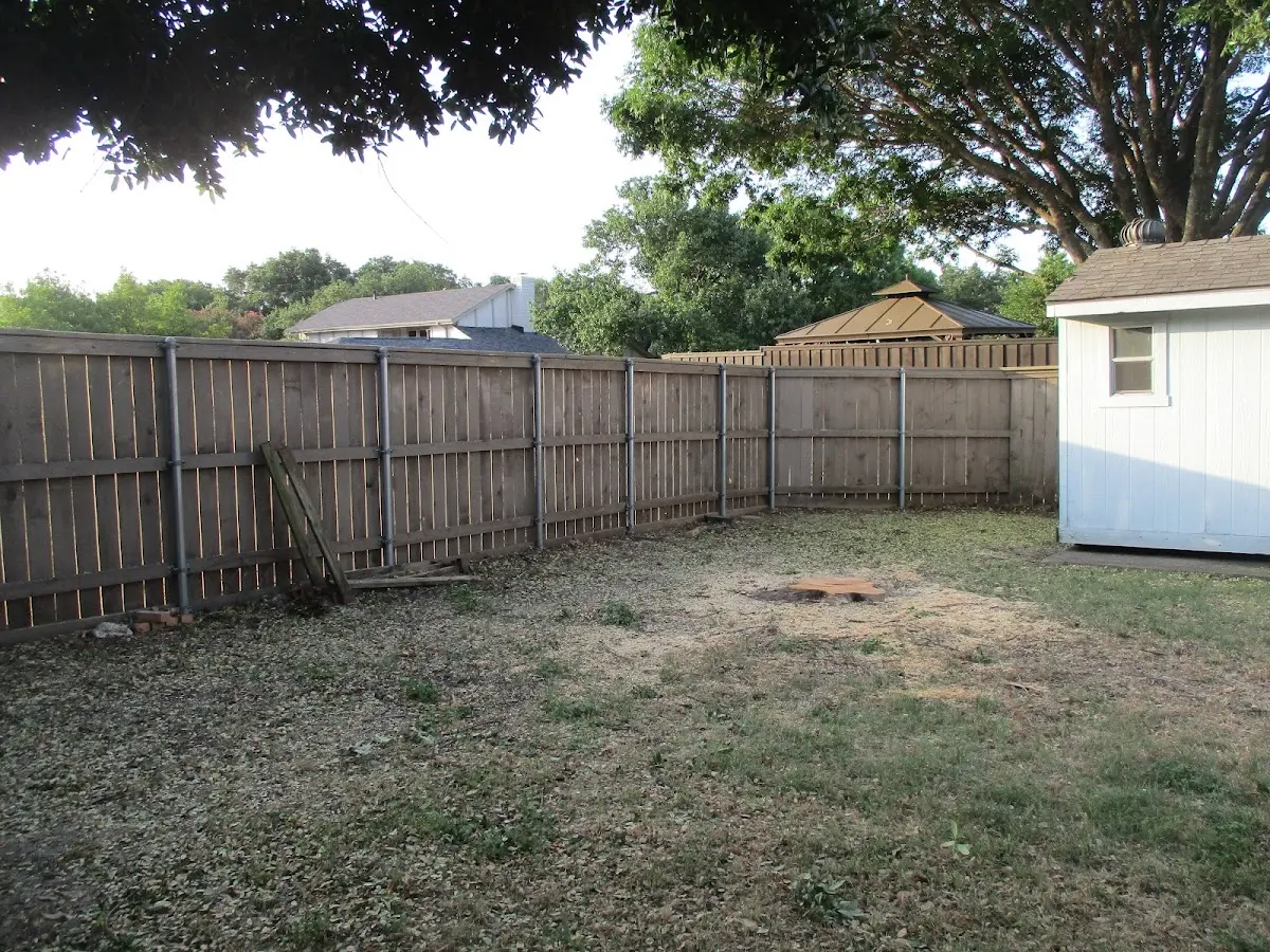 Cleared yard after professional tree removal in Winter