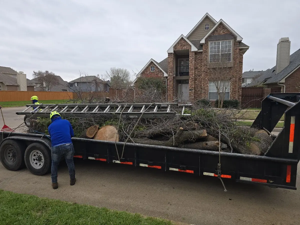 Expert Tree Fertilization with proper safety equipment in Winter